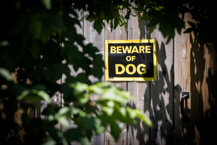 Chicago Dog Bite Lawyer - beware of dog sign on wooden fence