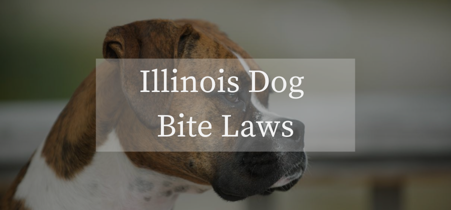 Illinois dog bite laws