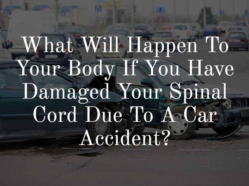 What Will Happen to Your Body if You Have Damaged Your Spinal Cord Due to a Car Accident?
