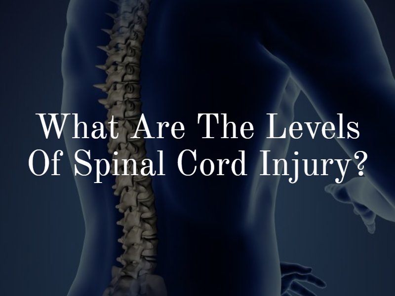 What are the levels of spinal cord injury?