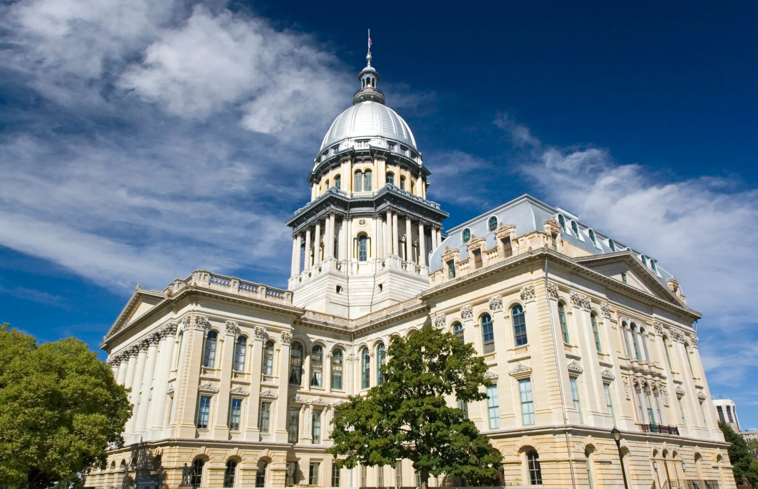 new illinois laws 2024