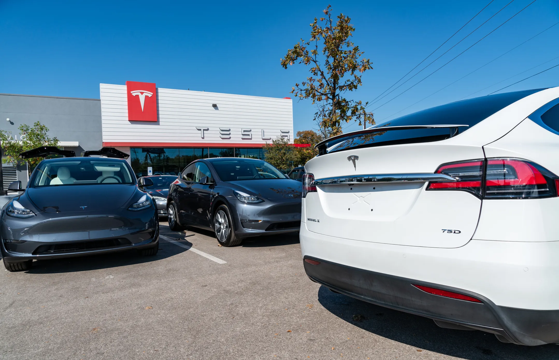 Inside the Great Tesla Recall of 2023 Blog