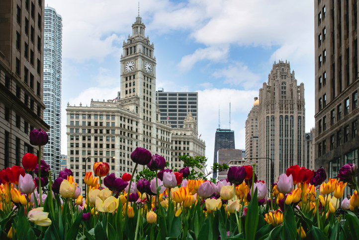 Downtown Chicago - Settlement Mills vs. Trial Firms: What’s the real difference?